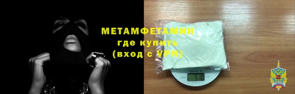 прущие грибы Козельск